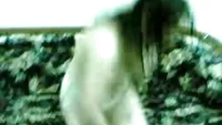 화이트 콕 싸움을 이완 검은 음부 프로노 섹스 병아리