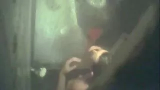 운이 좋은 젊은 사람이 열정적으로 엿에 의해 두 여자 라이브 홈 섹스
